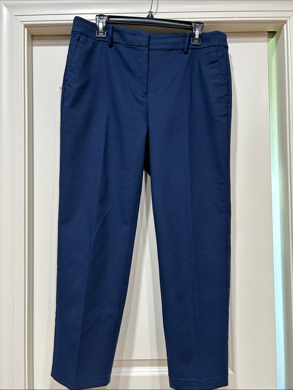 Women’s Loft Navy Dress Pants